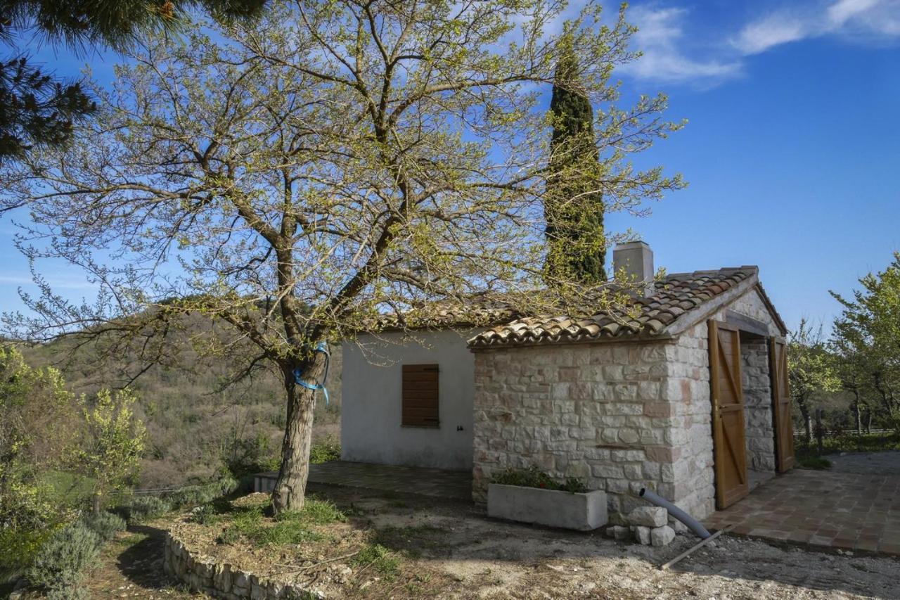 Massignano 116 Bed & Breakfast Sirolo Bagian luar foto